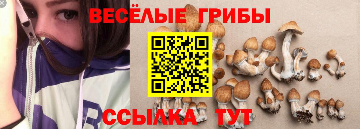 Псилоцибиновые грибы мухоморы Кимовск