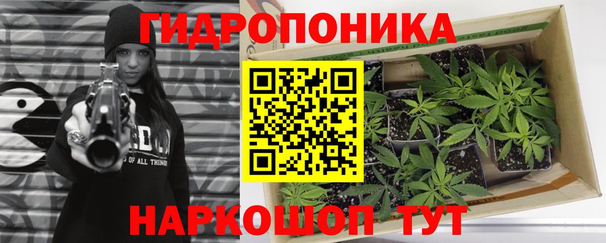 Конопля OG Kush Кимовск